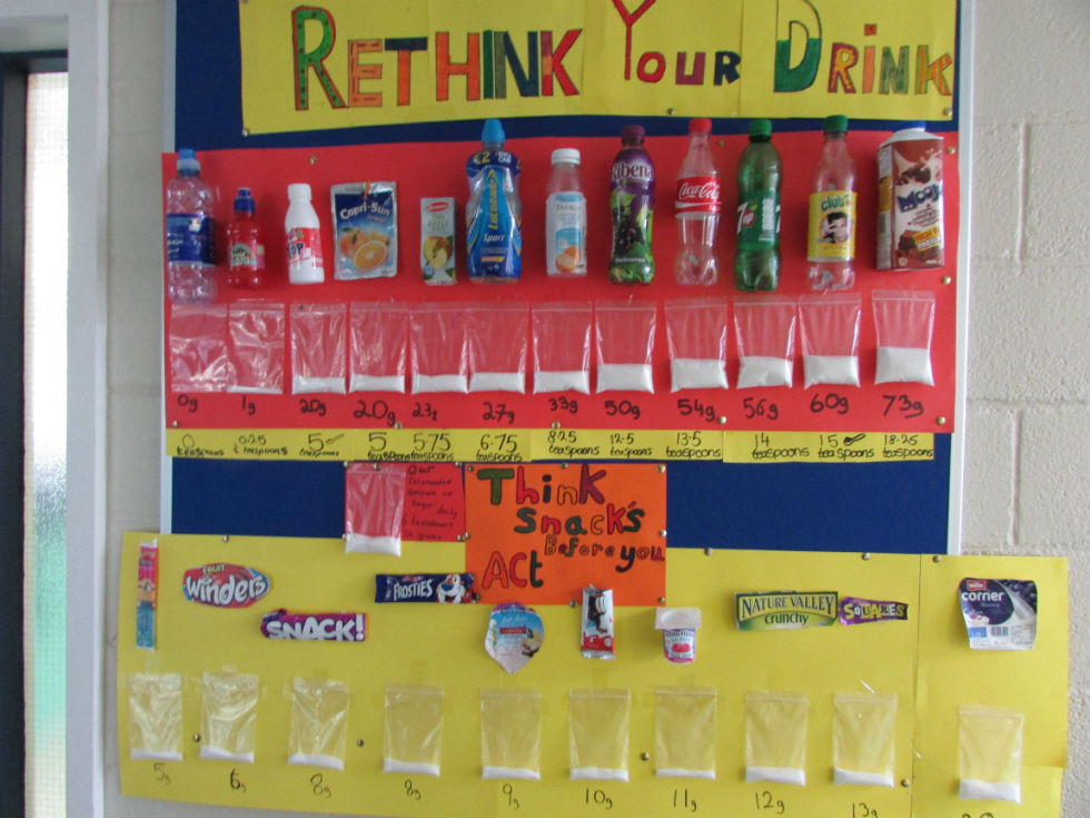 6th class sugar overload science project